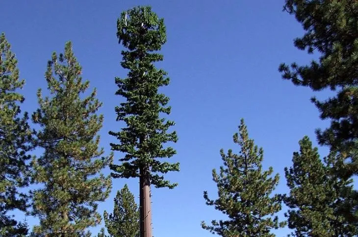 product-1-1 product-1-1