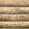 FR366039