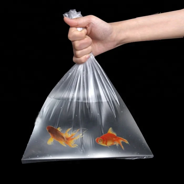 Какая рыба в мешке. Целлофановый пакет с водой. Рыба в пакете. Рыба ракета. Рыбка в пакете.
