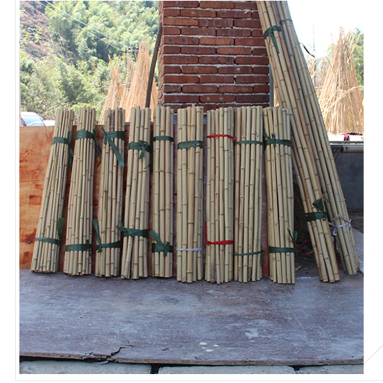 Grohandel Natural Lean The Tree Sticks Bulk Groe Bambus pfahl Bambus  stangen Stcke