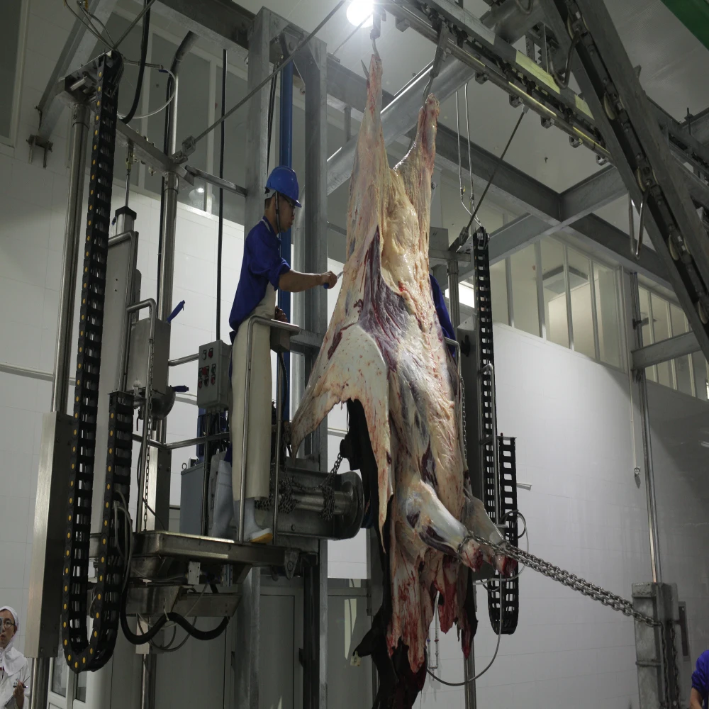 Meat processing equipment machines Abattoir slaughterhouse cattle and pig slaughtering line