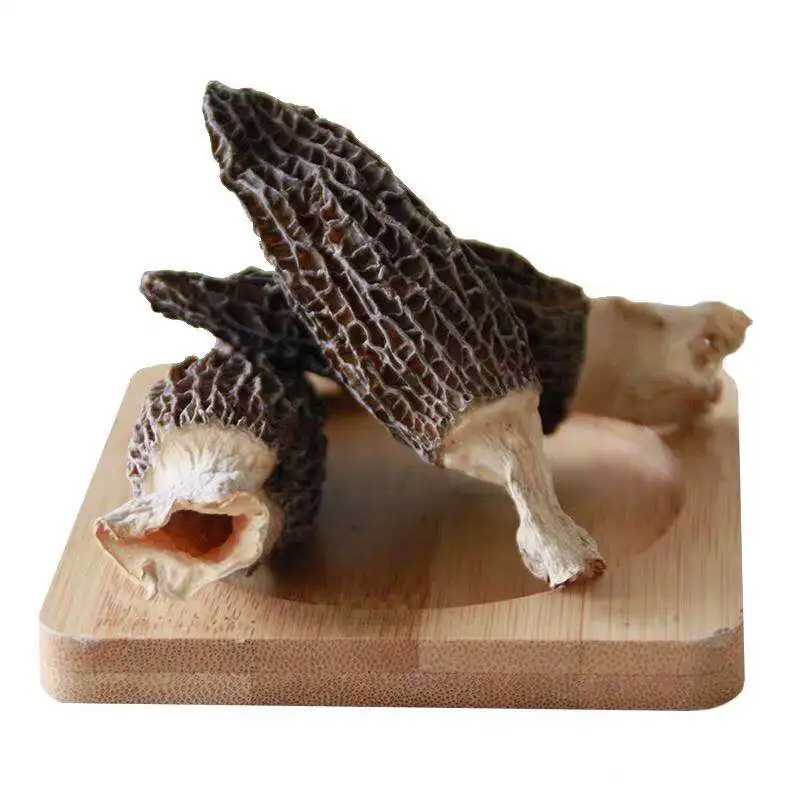Factory Price Wholesale Mushrooms Morel Mushroom Farm Black Morel Buy Black Morel,Morel