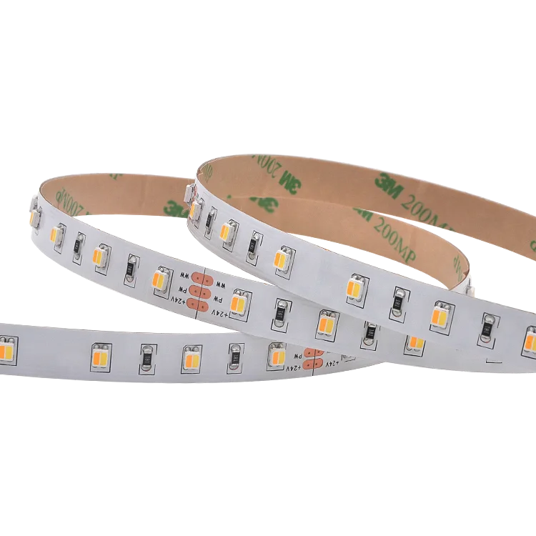 2 in 1 Dual Chip Bicolor Led Strip Cct Adjustable 3527 3528 Led Tape