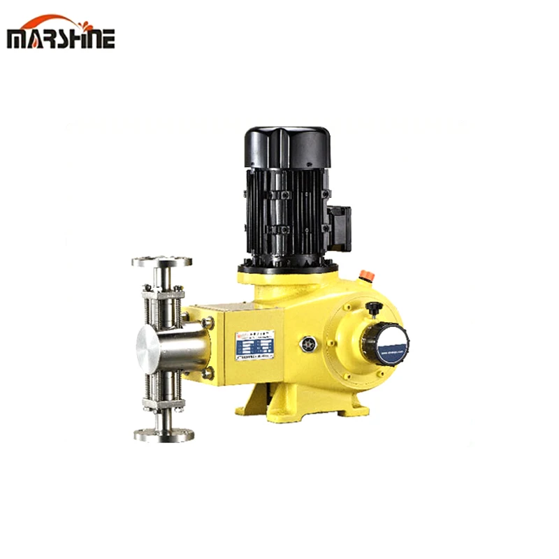 Plunger chemical dosing metering pump