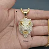 Oro: CZ completo
