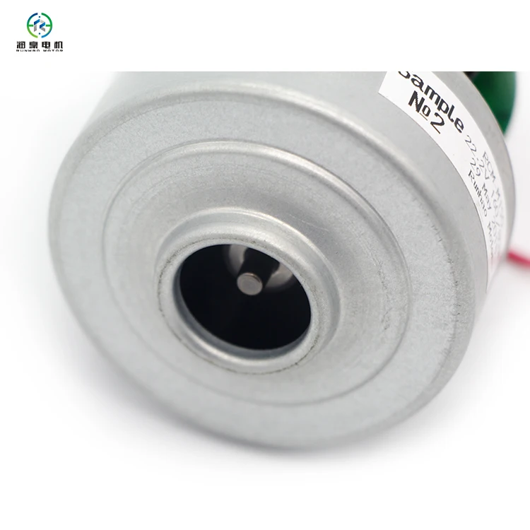 Mini Universal Brushless Vacuum Cleaner Motors