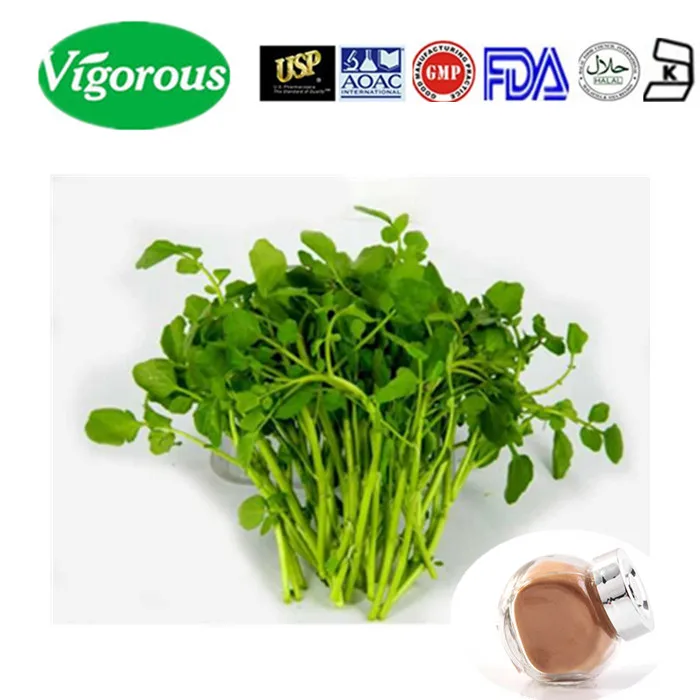 chinese factory food grade high quality watercress