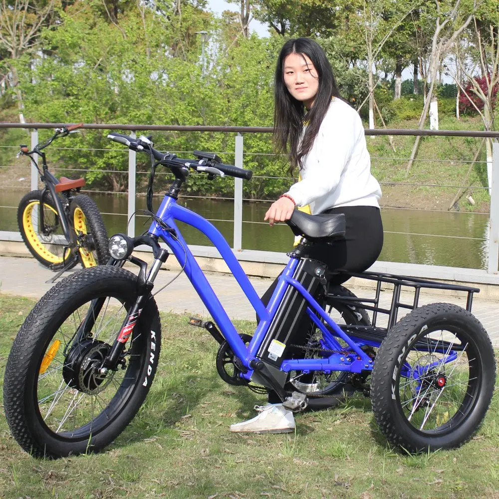 3 wheel bike with motor