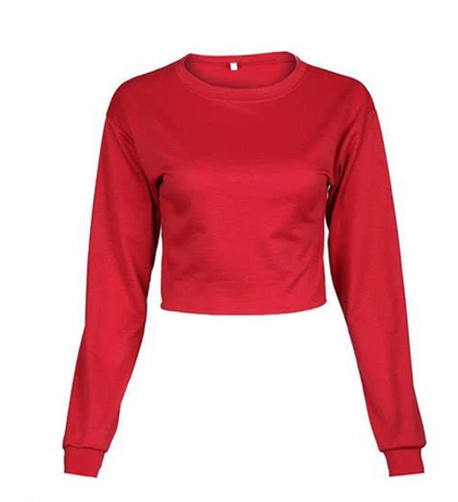 Sidiou Group Women Sport Yoga Crop Top Blouse O-Neck Long Sleeves Sportswear Pullover Top T-Shirt