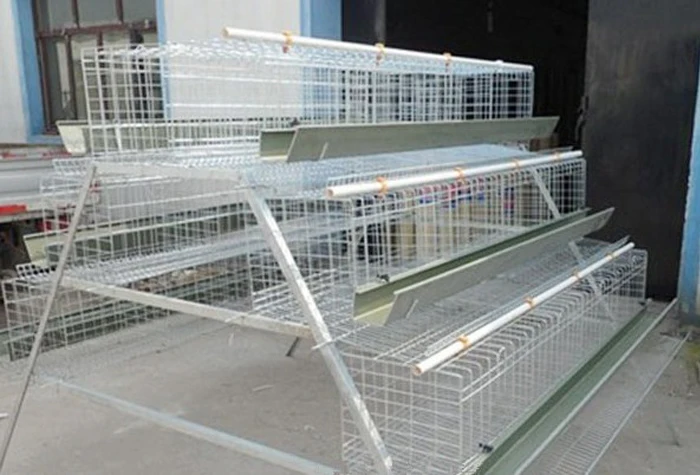 Deep Galvanized Chicken Coop House Broiler Chick Quail Cages Egg Layer Automatic Water Drinking