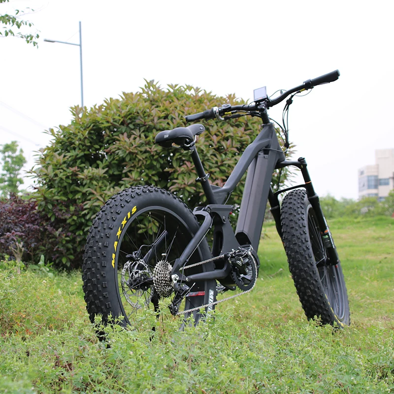 ecotric electric bicycle