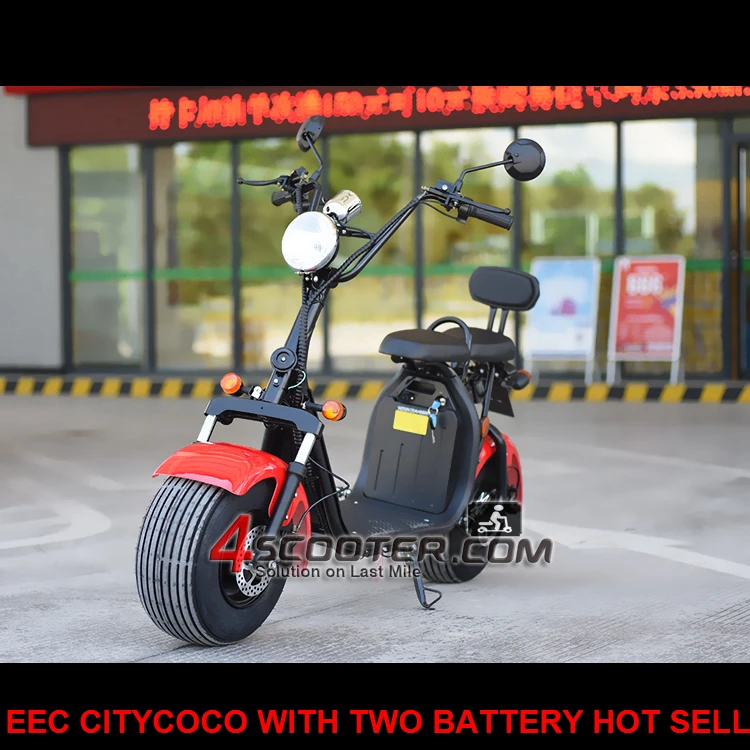 EEC Approved Citycoco Electric Bike with Two Removable Battery New Brand 2018 Electric Scooter Malaysia Price