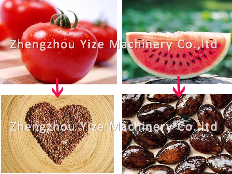 Watermelon Seed Extractor Machine / Tomato Seed Extractor Machine For Sale Buy Watermelon Seed