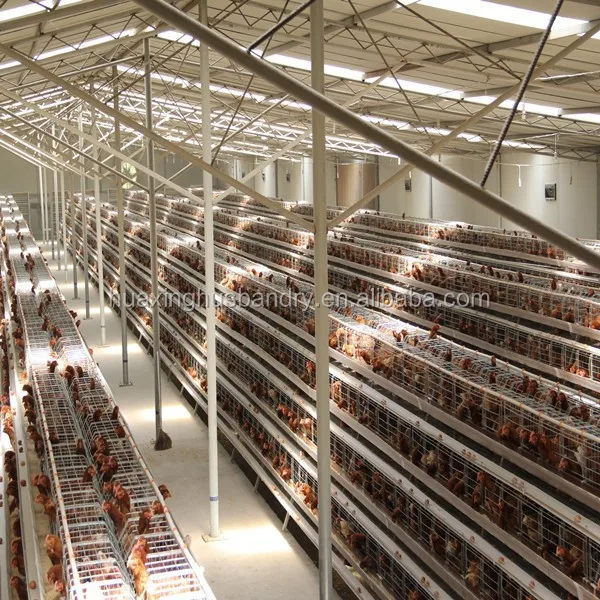 Nereden Satin Alabilirim En Ucuz Ikinci El Tabaka Kumes Hayvanlari Kafesleri Buy Ikinci El Katman Kanatli Kafesleri Kanatli Ciftlik Katman Kafes Satilik Kanatli Katman Kafes Product On Alibaba Com Nereden Satin Alabilirim En Ucuz Ikinci El Tabaka Kumes Hayvanlari Kafesleri Buy Ikinci El Katman Kanatli Kafesleri Kanatli Ciftlik Katman Kafes Satilik Kanatli Katman Kafes Product On Alibaba Com