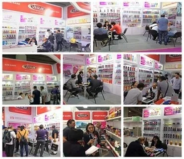 Fuel Additive Treatment Saver Premium Diesel Fuel Additive for Car