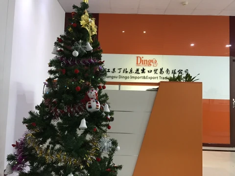 Jiangsu Dingo Import&Export Co., Ltd. 1