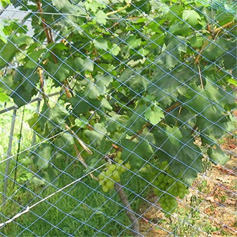 Bird Deterrent Net 4 x 1.7m Pea & Bean Netting Garden Netting 