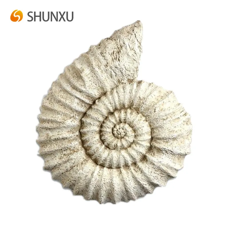 Nautical Shell Wall Decor Home Beige Colored Resin Nautilus Shell Wall Hanging Home Decor Buy Nautical Shell Wall Decor Shell Wall Decor Modern Sculpture Home Decor Product On Alibaba Com