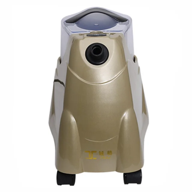 Automatic Ironing Machine Home Use Powerful Vertical Steam Iron Garment Clothes Steamer