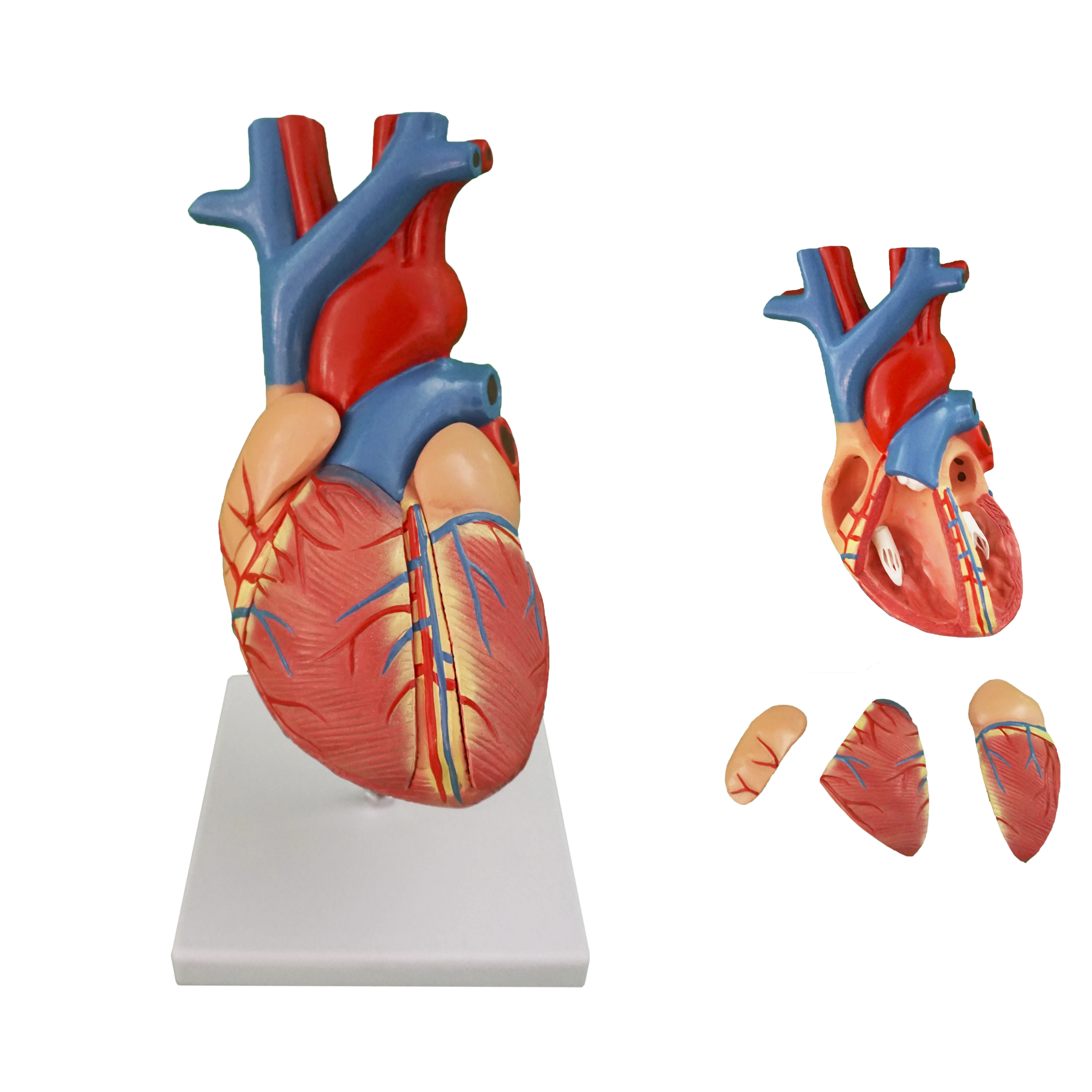 Mẫu cnc mô hình trái tim cắt laser