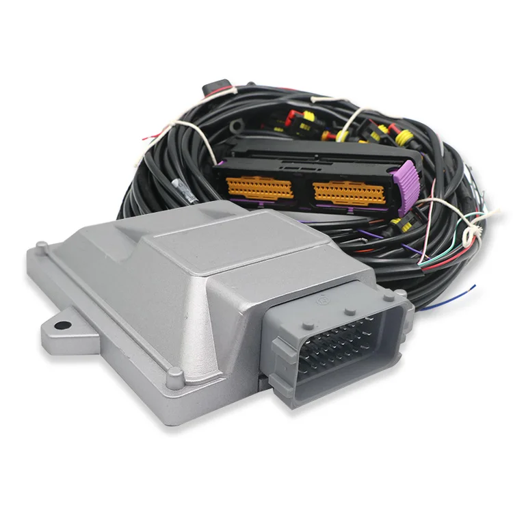 Popular 6cyl 8cyl Car Conversion Kit Small Engine Efi Ecu Kit for Sale