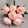 peach pink