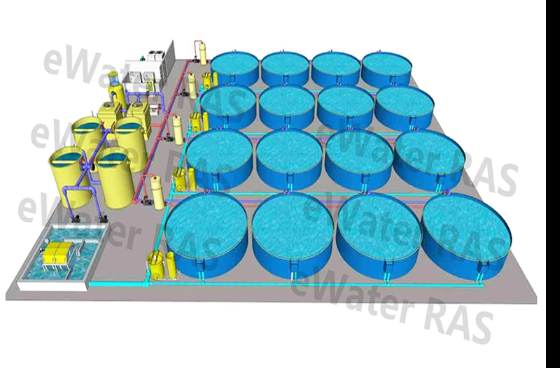 Circular Fish Farm with Tanks  for Commercial Fish Farm  Ras System Equipment Customize Indoor Ras Fish Farming