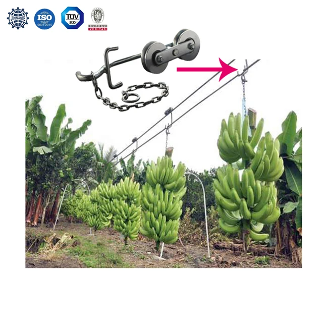 Galvanized Cableway Trolley Roller for Banana Farm, Hanger Banana Roller with Two 64mm Wheels