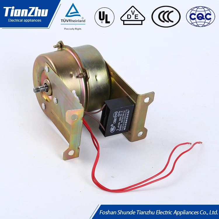 Tianzhu Factory Made Good Quality Favorable Price Electric AC 220V Shoe Polishing Motor