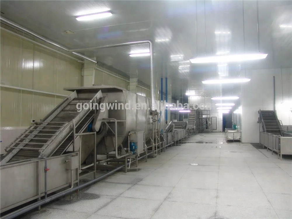 Automatic Dried Fruit And Vegetable Production Line Dehydrated Dry ...