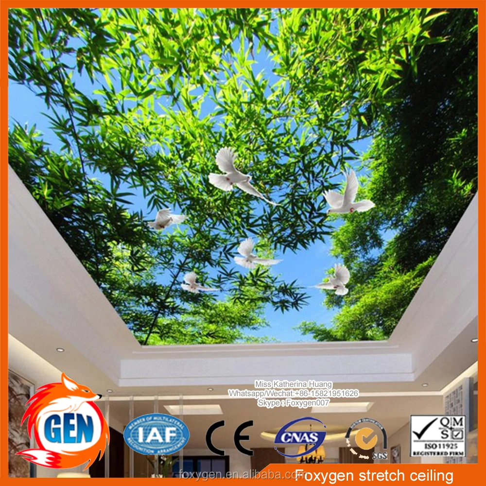 Nature Pop False Pvc Stretch Ceiling Design for Interior Decoration