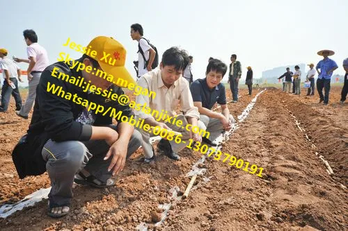 Single or Double Rows Sugarcane Planting Machine