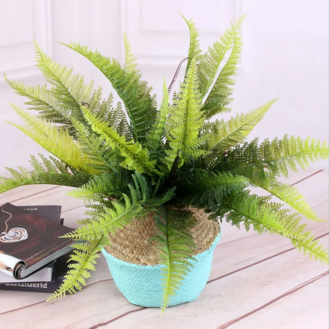 Wholesale Artificial Fern Plant Latex Artificial Boston Fern Plant Buy Fern Plant Artificial Boston Fern Plant Fern Plant Latex Product On Alibaba Com Wholesale Artificial Fern Plant Latex Artificial Boston Fern Plant Buy Fern Plant Artificial Boston Fern Plant Fern Plant Latex Product On Alibaba Com