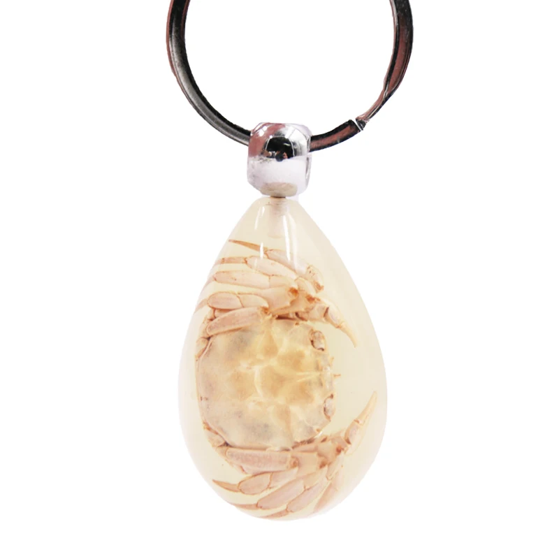 Luminous Scorpion Keychain Real Insect Amber Keyring Fluorescent Effect Metal Plastic Resin Acrylic Number Gifts Decorations