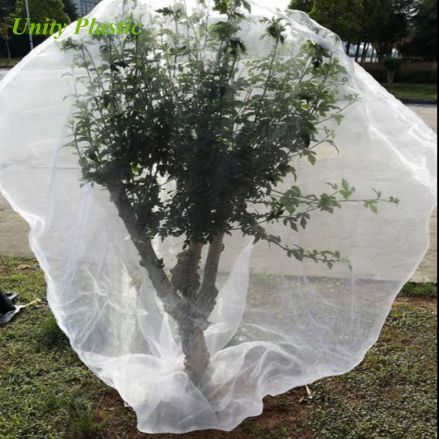 Fruit Tree Cover Bag Plant Protection Cover Agricultural Cover Bag For Sale Buy Tree Cover Bag Plant Protection Cover Agricultural Cover Bag Product On Alibaba Com