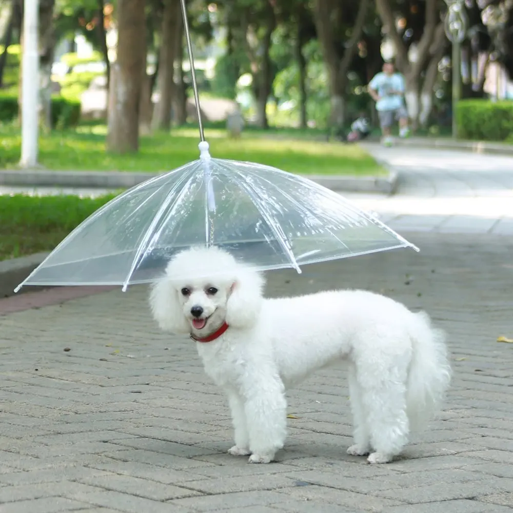 Paraguas Impermeable Para De Cuerpo Completo,Transparente,Para Perros Y Mascotas - Buy Paraguas De Cuerpo Para Perro,Paraguas De Lluvia Transparente Para Perro,Paraguas Impermeable Para Perro Product on