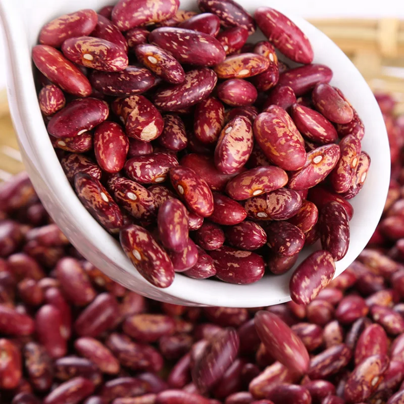 Wholesale Pinto Bean Red Speckled Kidney Beans for Wholesale Organic Red Kidney Bean