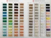 Color Card 1