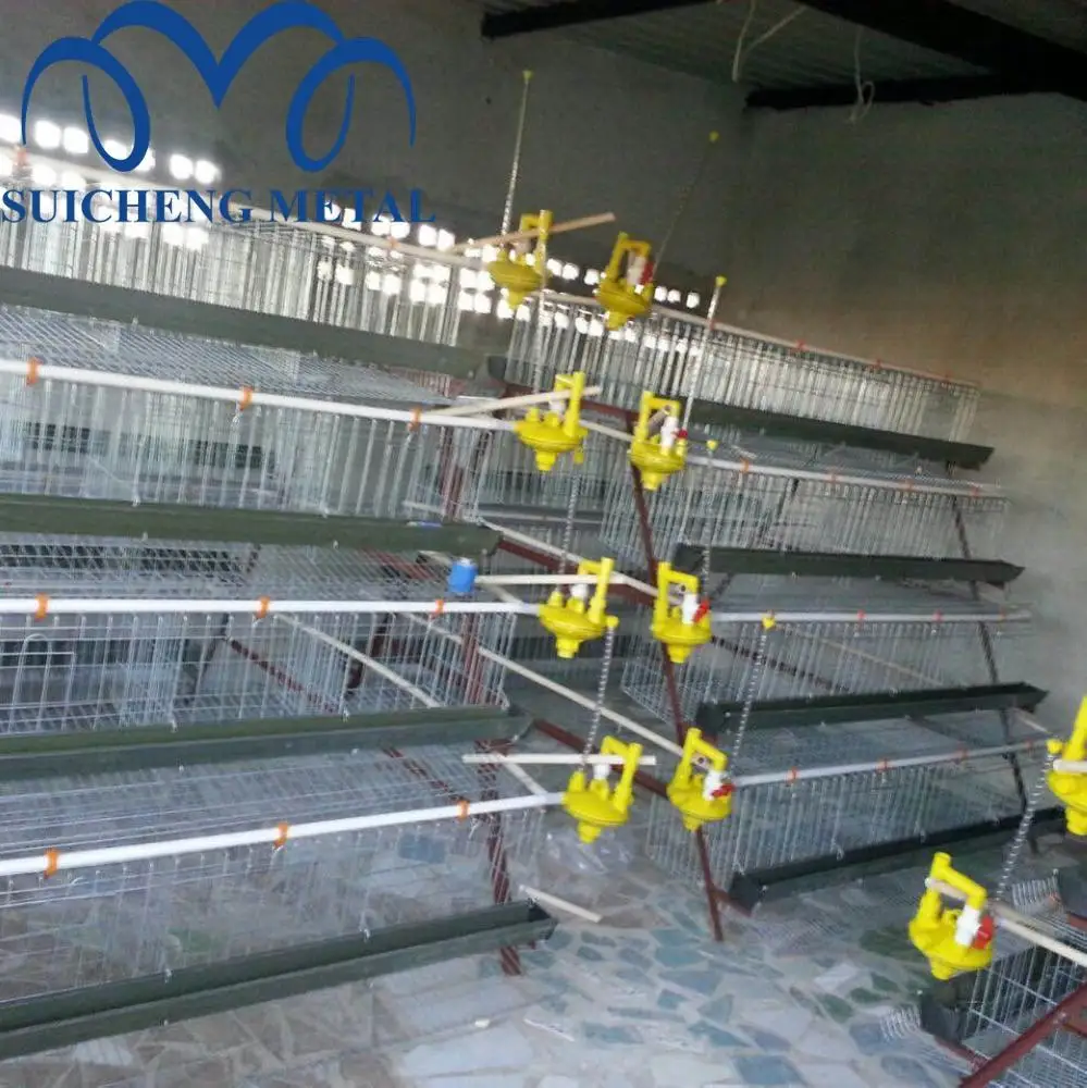 Factory Chicken Cages Layer 128 Poultry Farming Chicken Cage for Tanzania