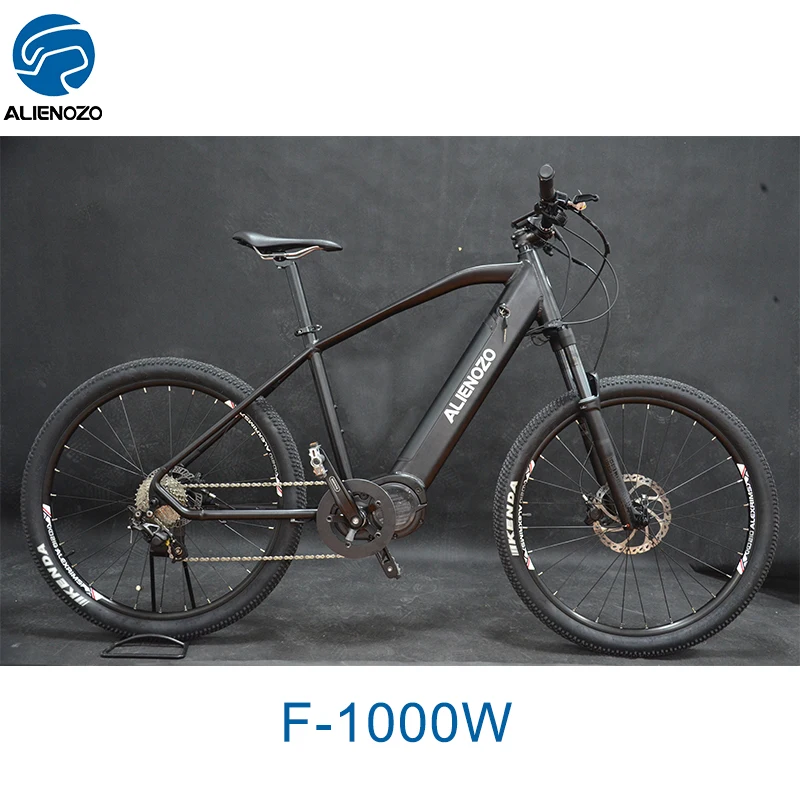 1000w electric bike
