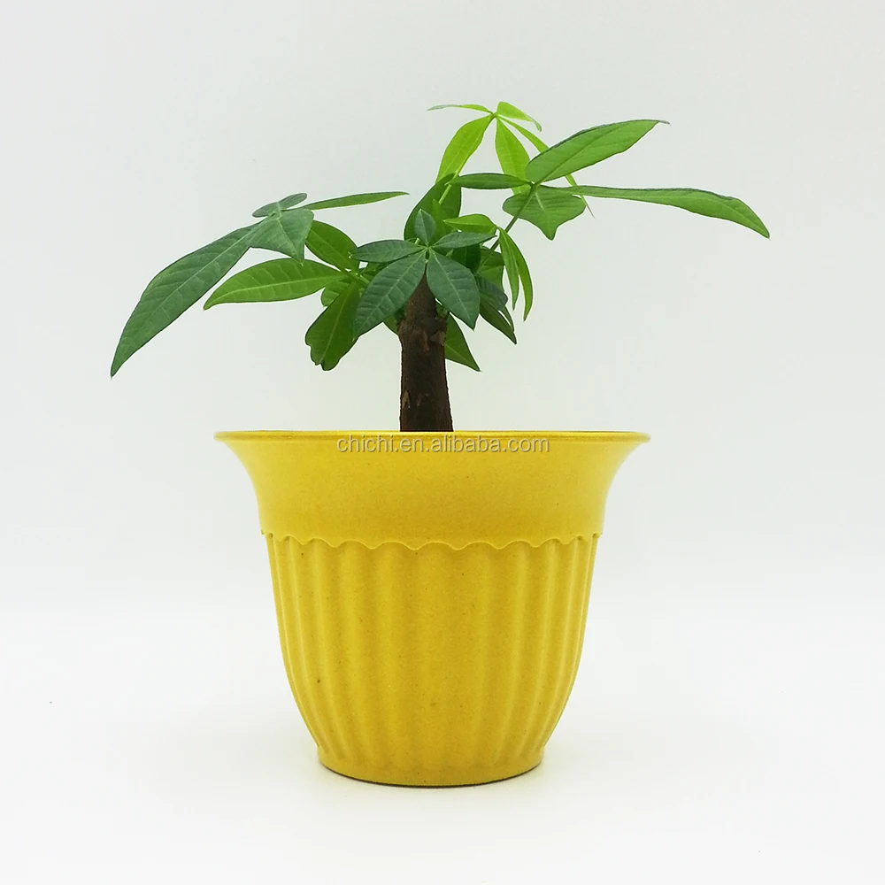 生分解性竹繊維植木鉢増粘デスクトップ鉢植え多肉植物植木鉢 Buy 植栽植木鉢 竹繊維植木鉢 庭の花のポット Product On Alibaba Com