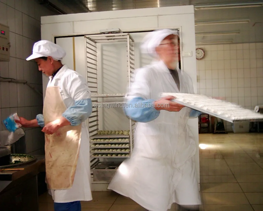 Небольшая быстрозамораживающая машина iqf морозильная камера мгновенного замораживания замороженных продуктов мини-морозильная недорогая цена