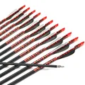 AF 12pcs New Carbon Arrows 31 Spine 500 Archery Arrows Shaft Target Practice Screw Tips