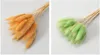 Orange ET VERT