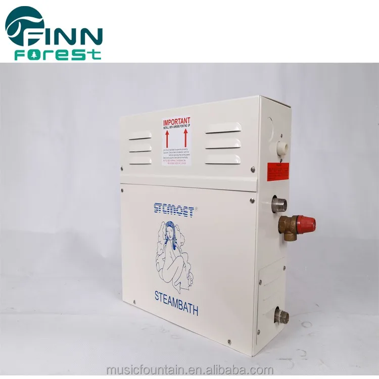 Оптовая продажа портативный Электрический парогенератор сауны 3 кВт 6 9 12