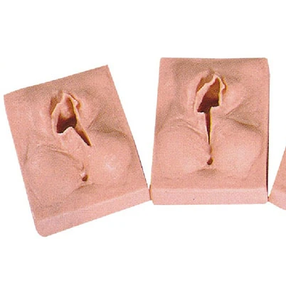 Advanced Vulva Suture Exercise Model Vagina Suturing Practise Model