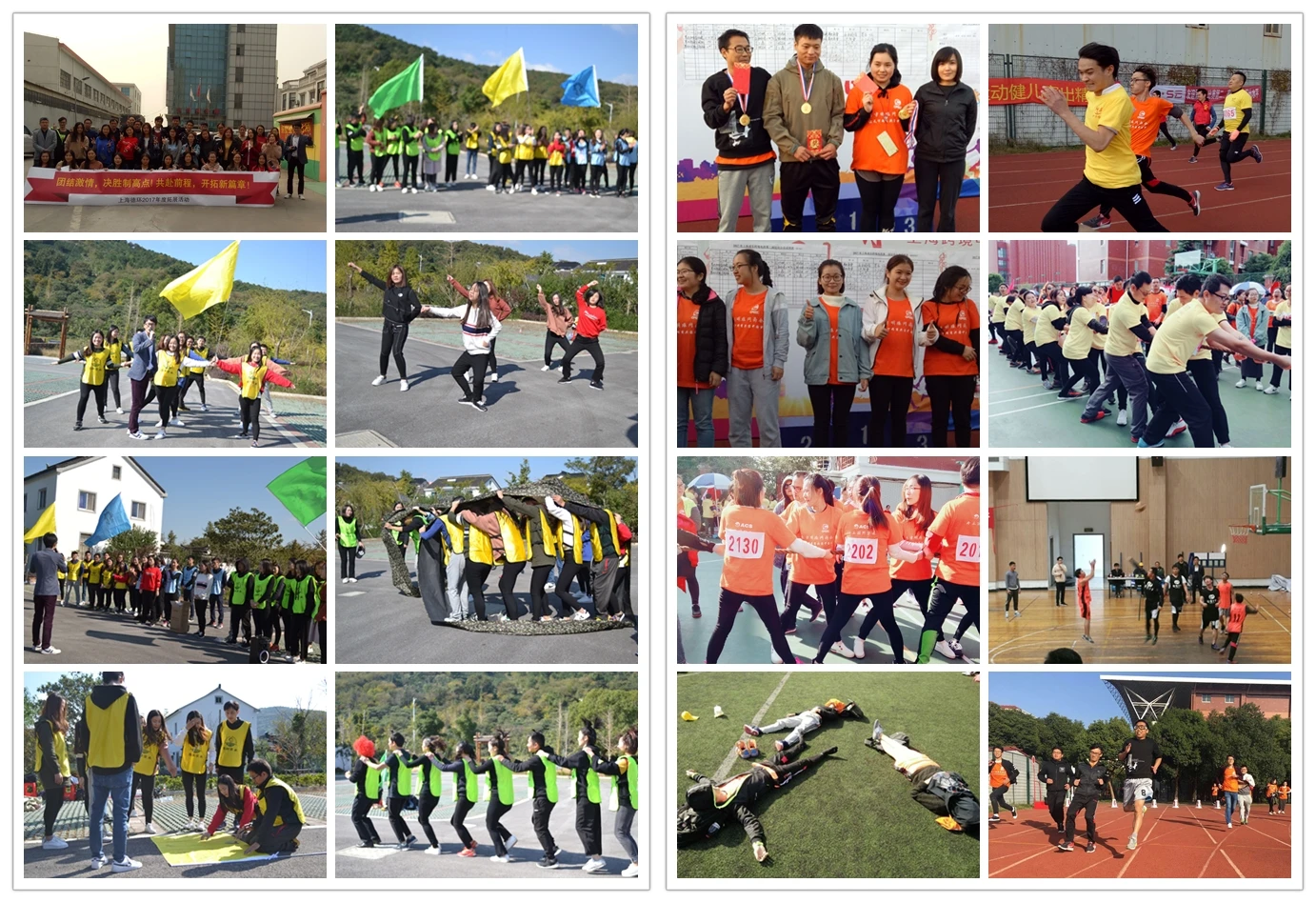 Professional Indoor Plant Trim Bin Black Trimming Tray With Mesh