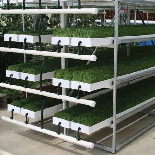 Hydroponic Fodder Profeed Growing System Fodder Nursery Plant Trays Growing System