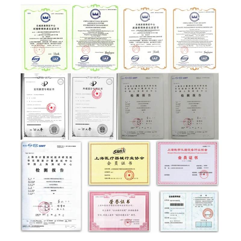 
BIX-H1D медицинская электронная уретральная Катетеризация и модель клизмы 