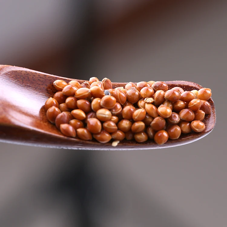 Новый Урожай Красного/белого/желтого клейкого бромкуруза лисий хвост пса для семян птиц